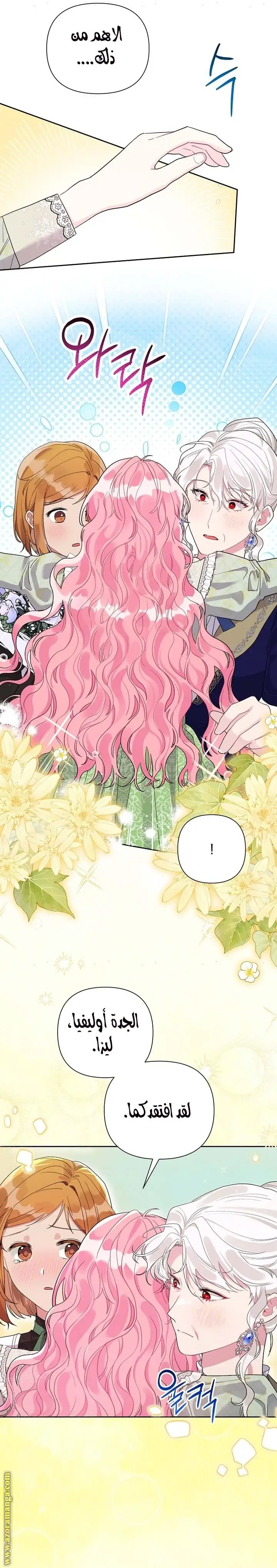 الصفحة 16