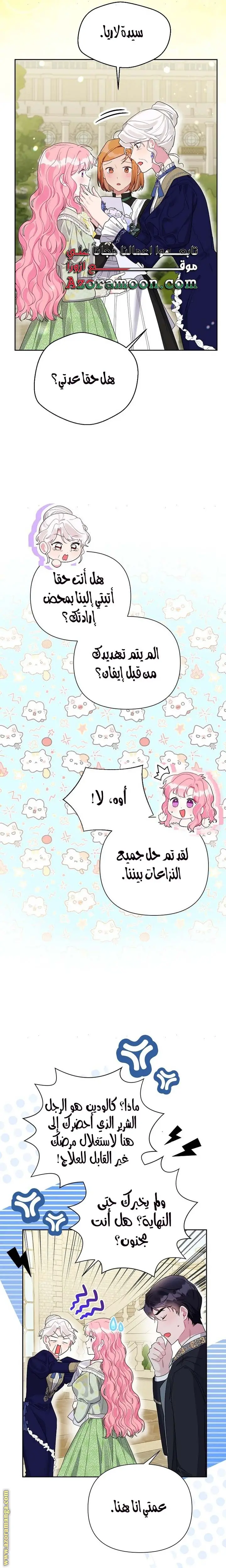 الصفحة 17
