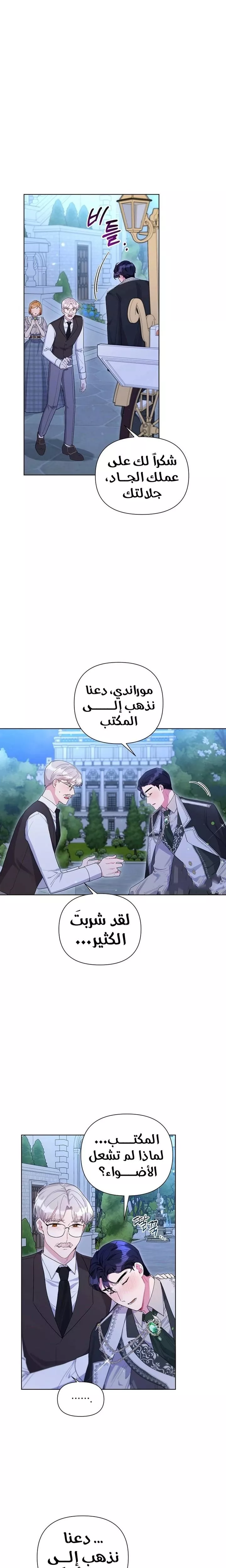 الصفحة 13