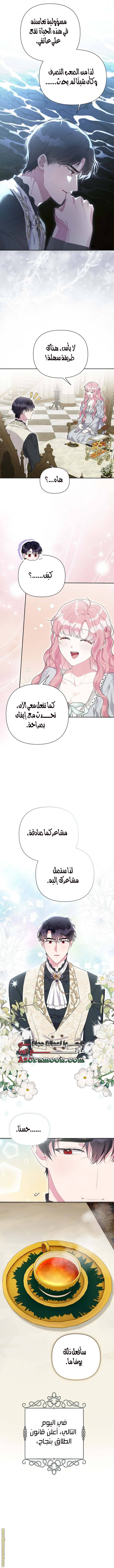 الصفحة 5