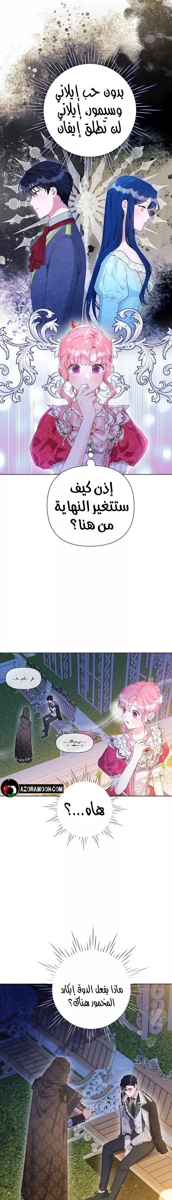 الصفحة 17