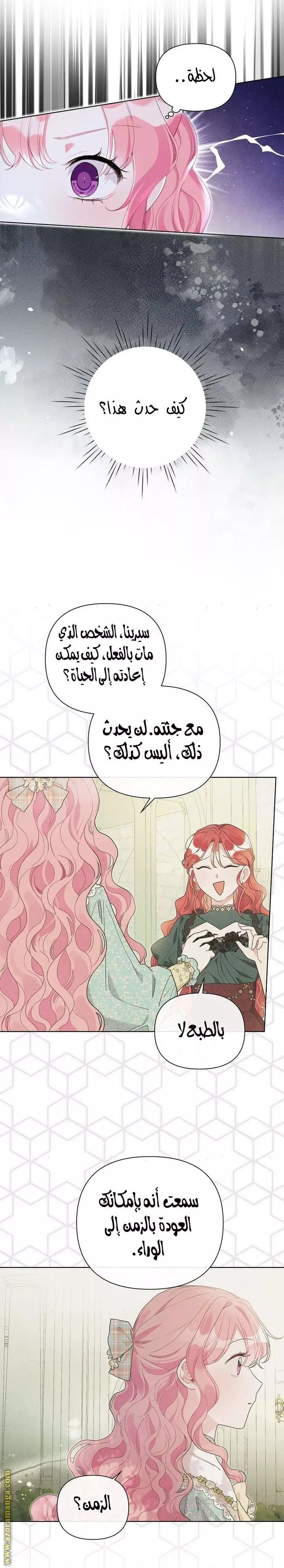 الصفحة 11