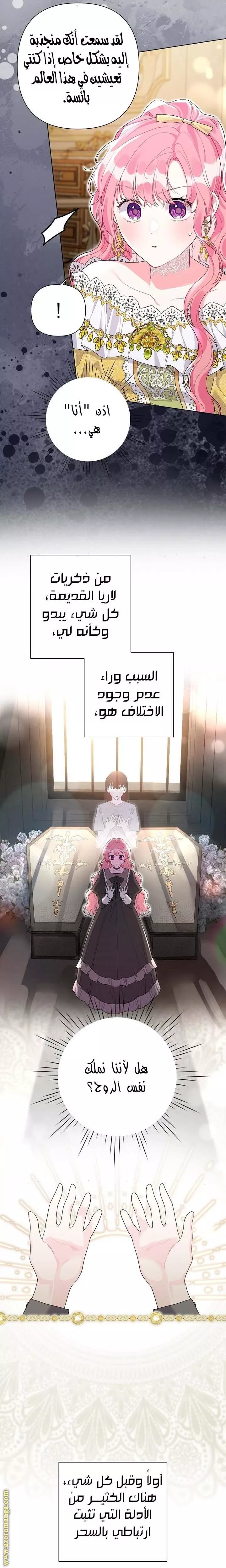 الصفحة 17
