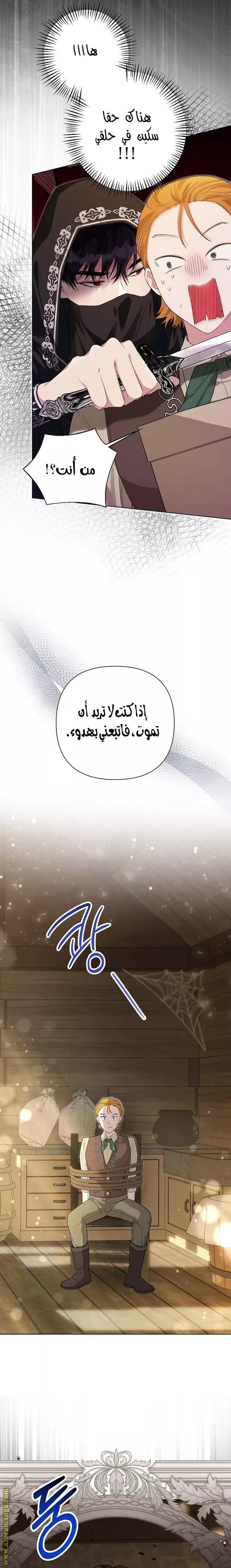 الصفحة 14