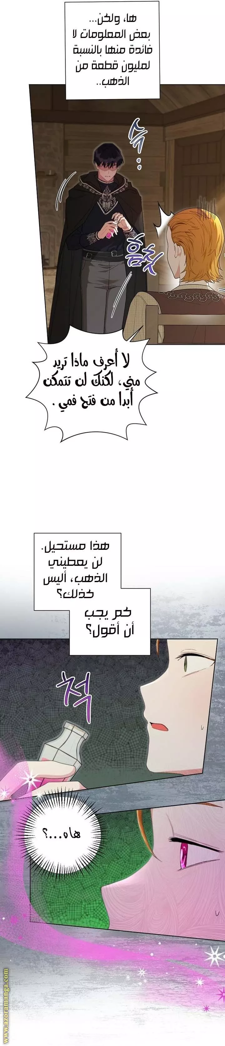الصفحة 16