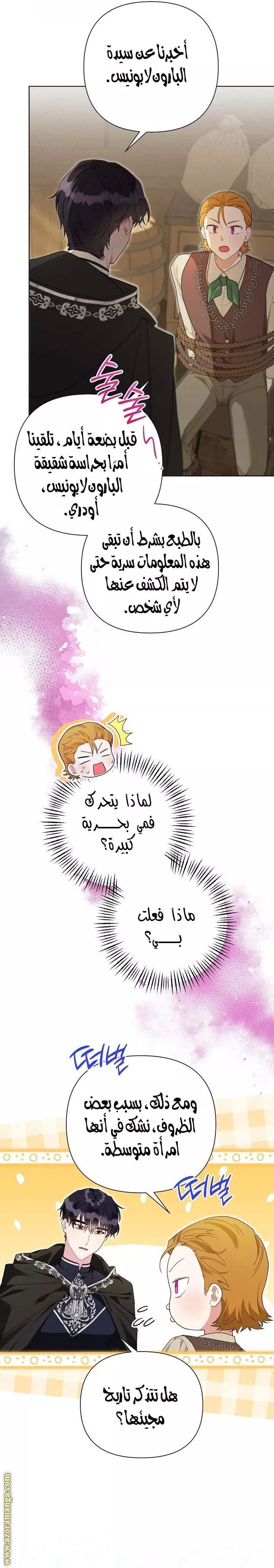 الصفحة 17