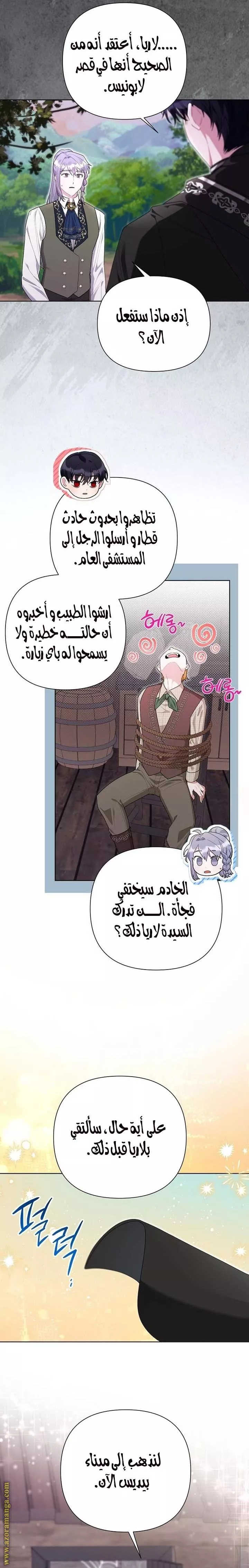 الصفحة 19