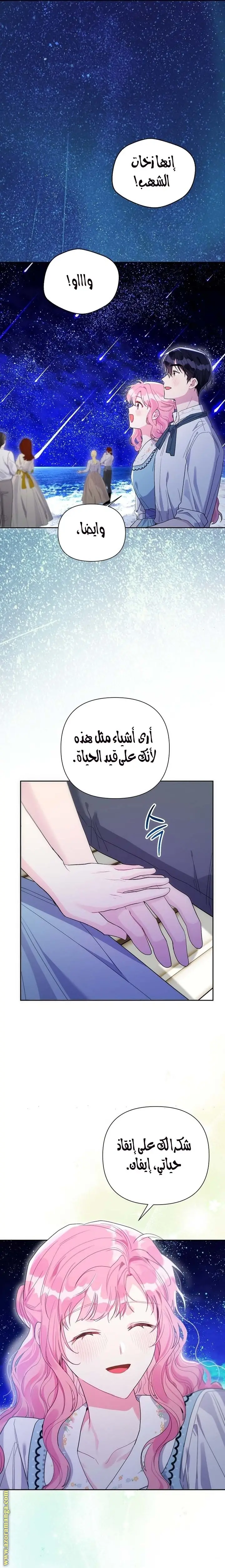 الصفحة 19