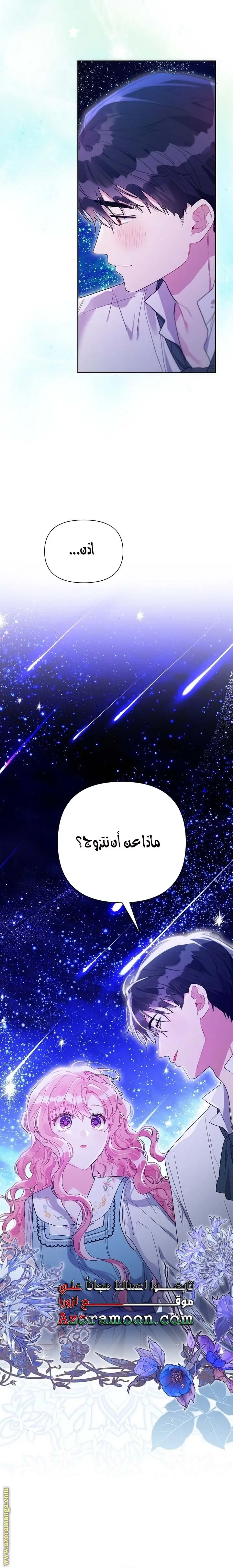 الصفحة 20