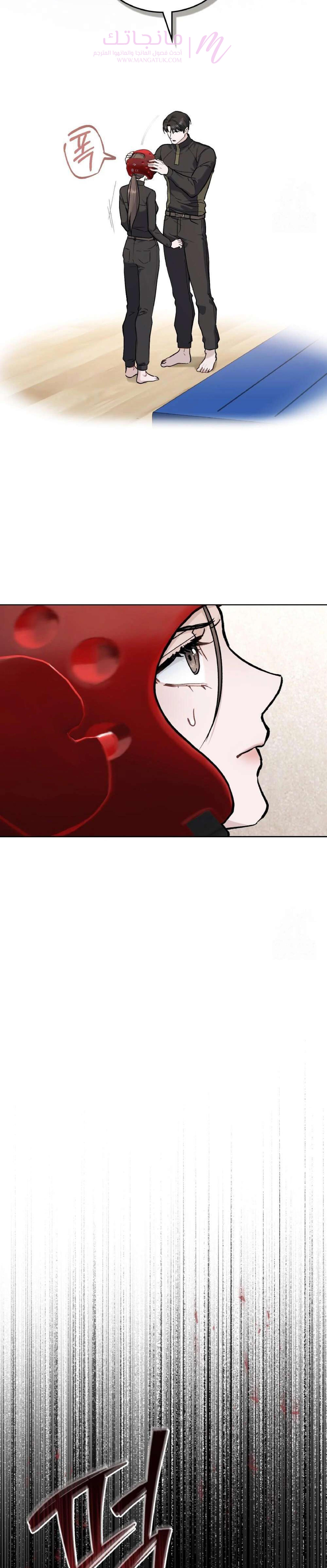 الصفحة 17