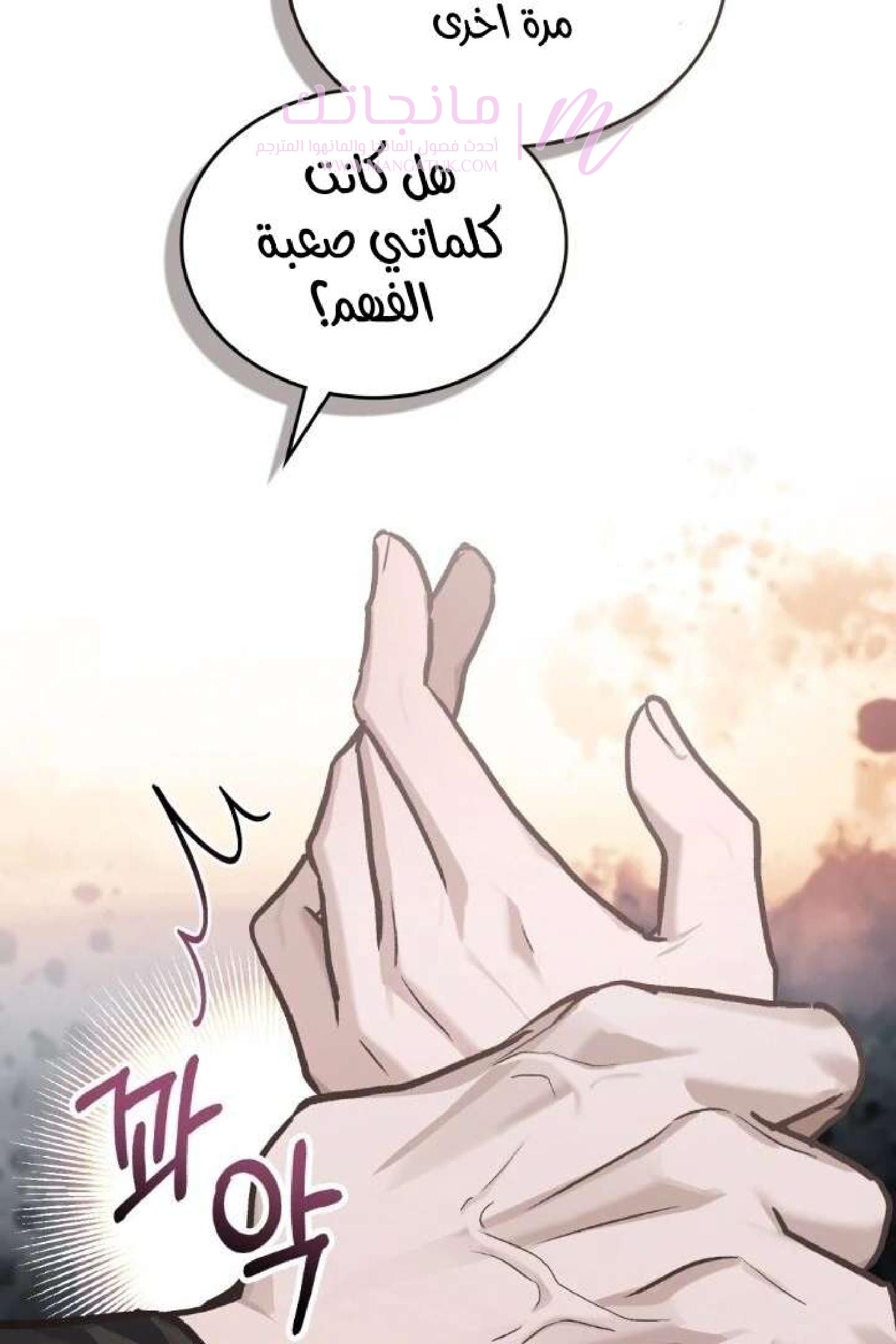 الصفحة 43