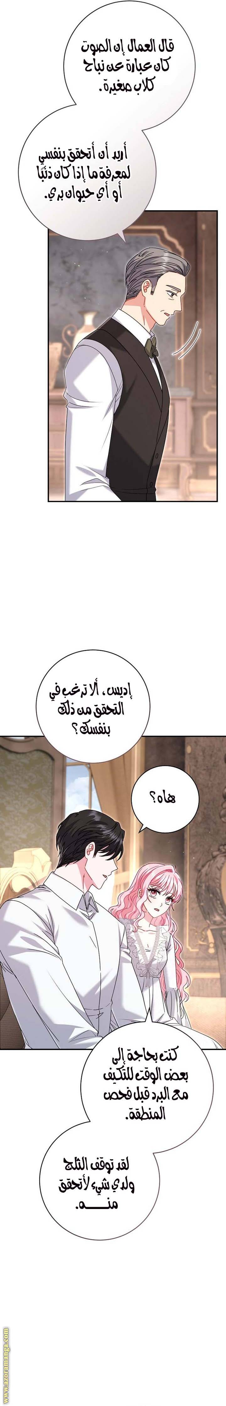 الصفحة 21