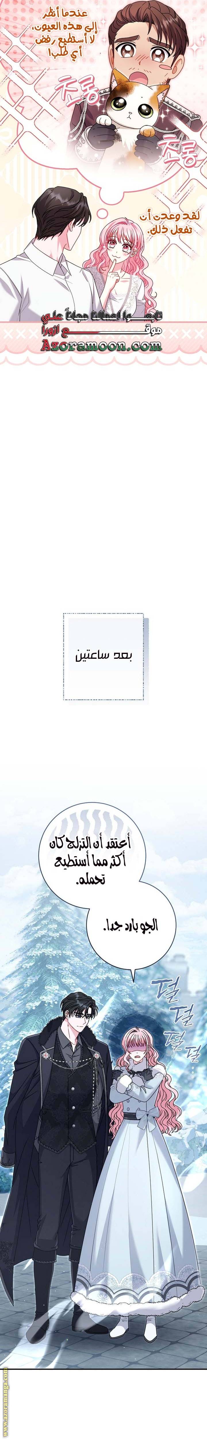 الصفحة 25