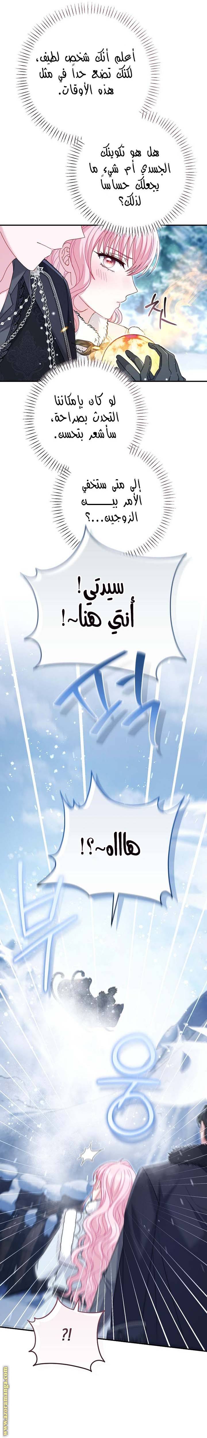 الصفحة 29