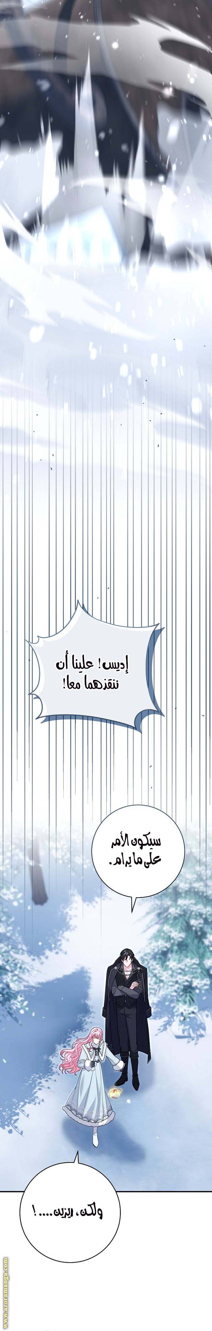 الصفحة 31