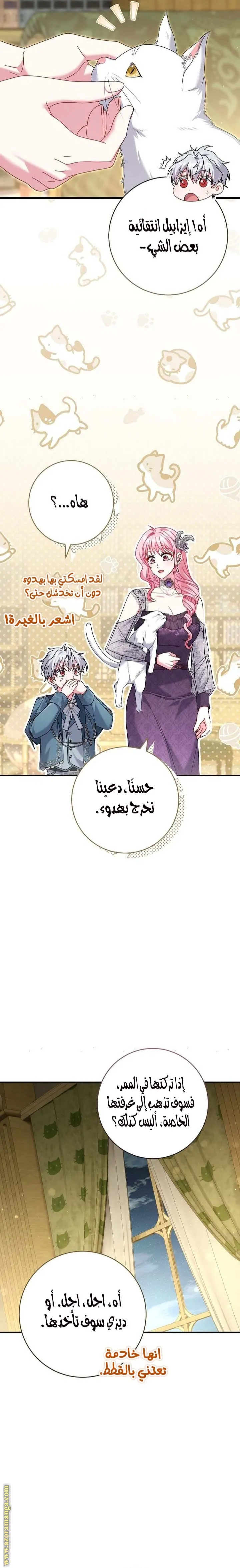 الصفحة 19