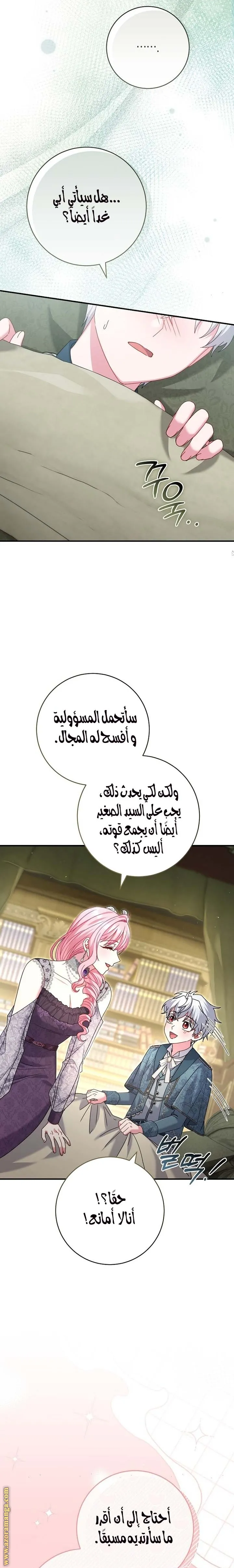 الصفحة 27