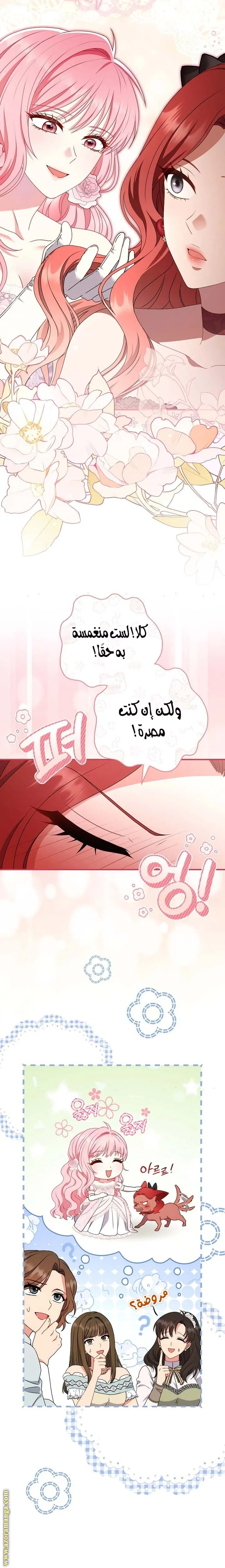 الصفحة 23