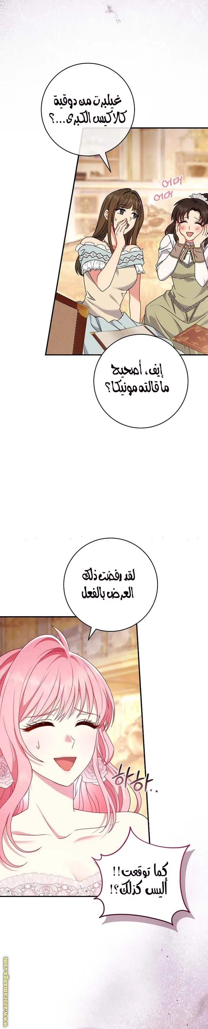 الصفحة 25