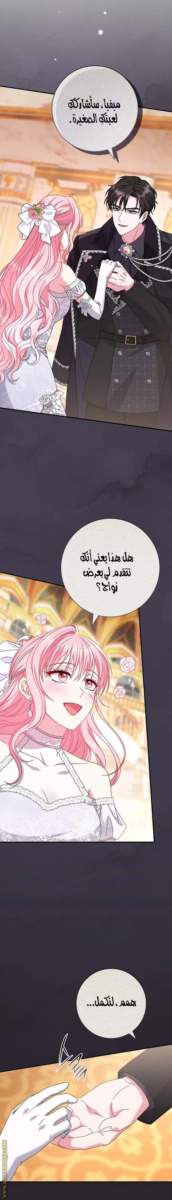 الصفحة 17