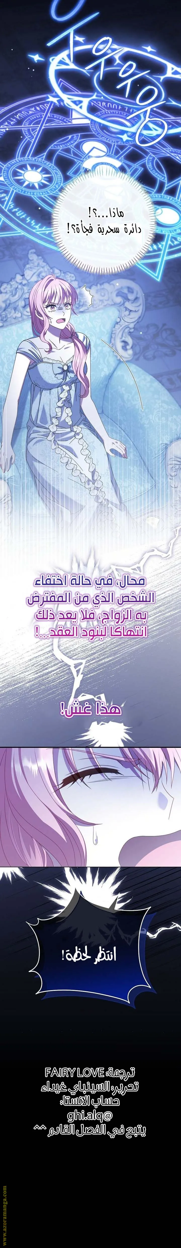 الصفحة 29