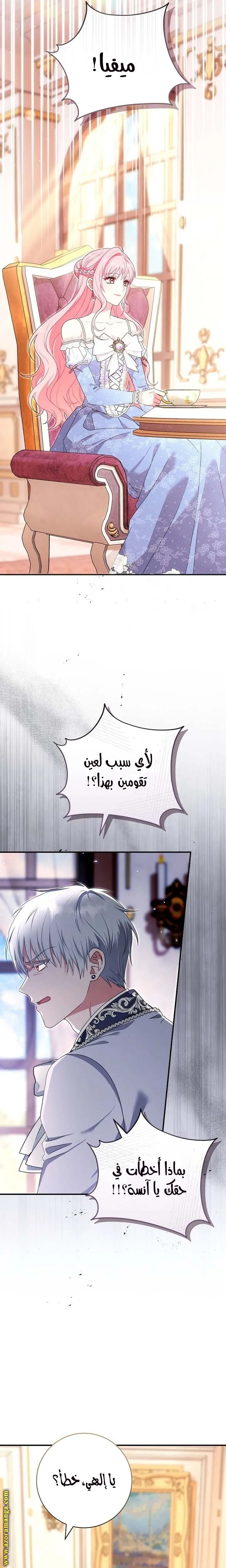 الصفحة 20