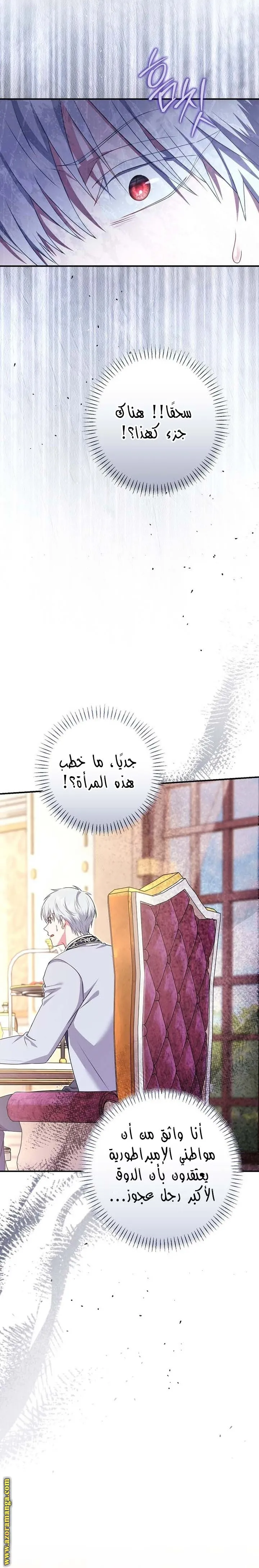 الصفحة 23