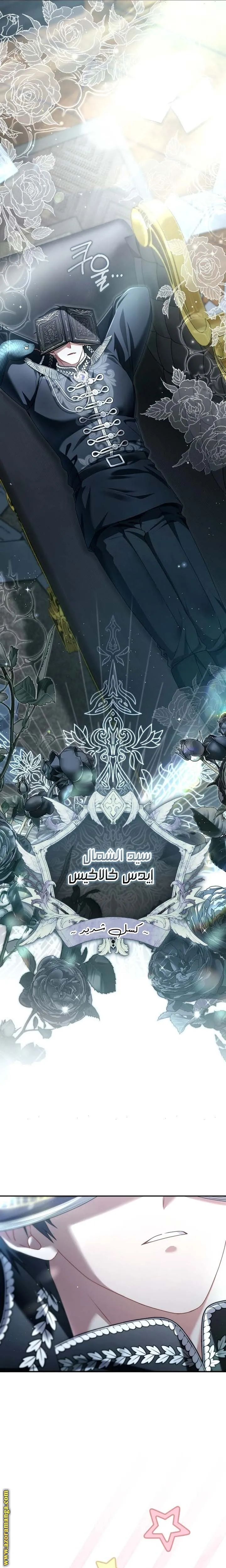 الصفحة 29