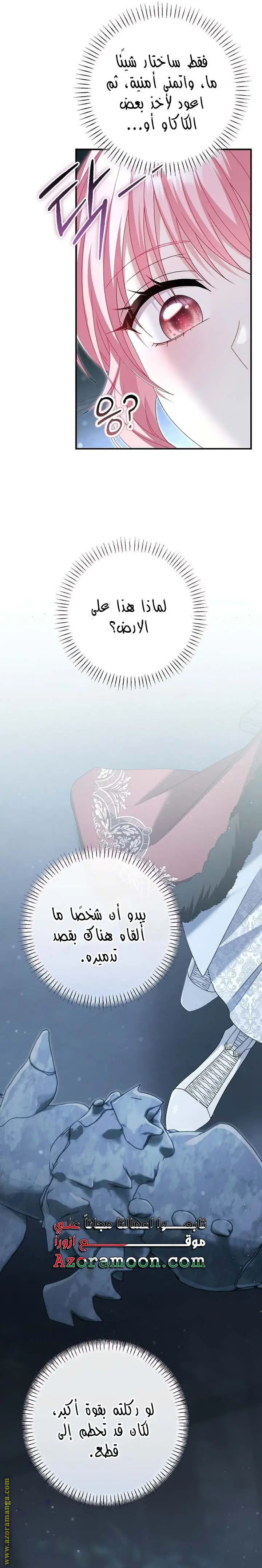 الصفحة 21