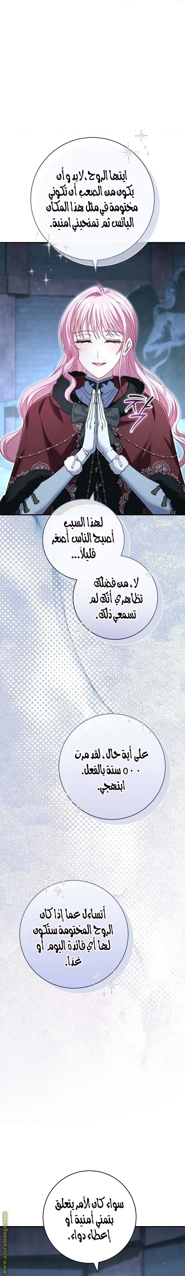 الصفحة 25