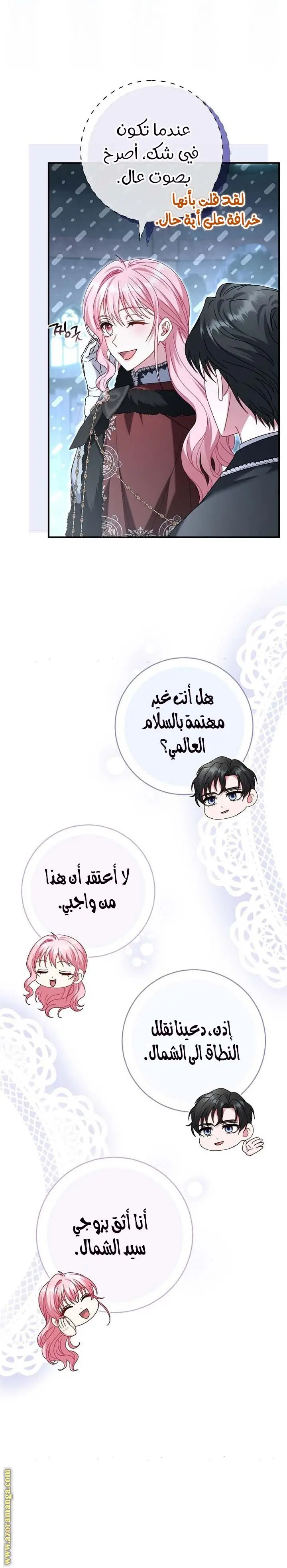الصفحة 29