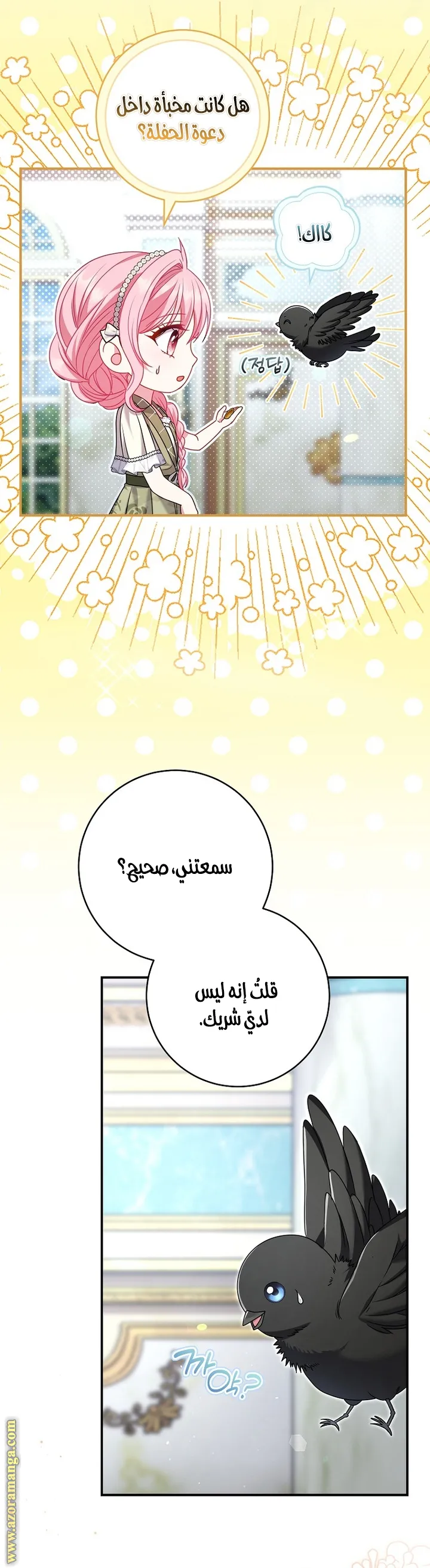 الصفحة 14