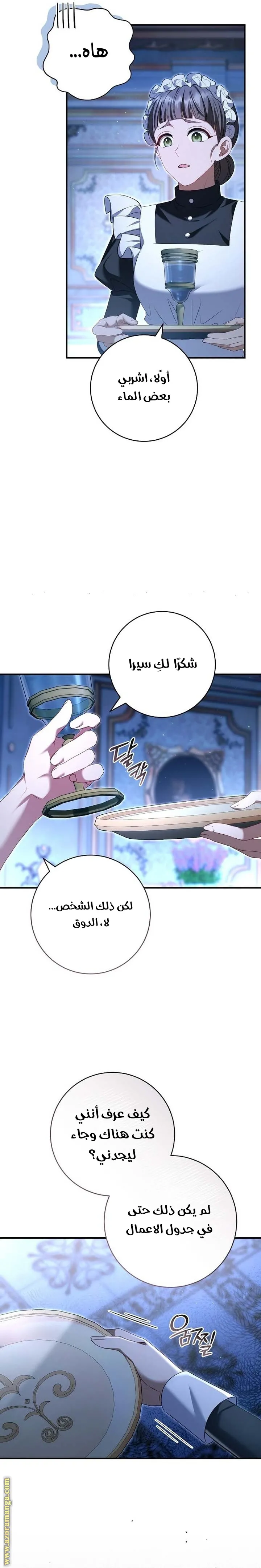 الصفحة 21