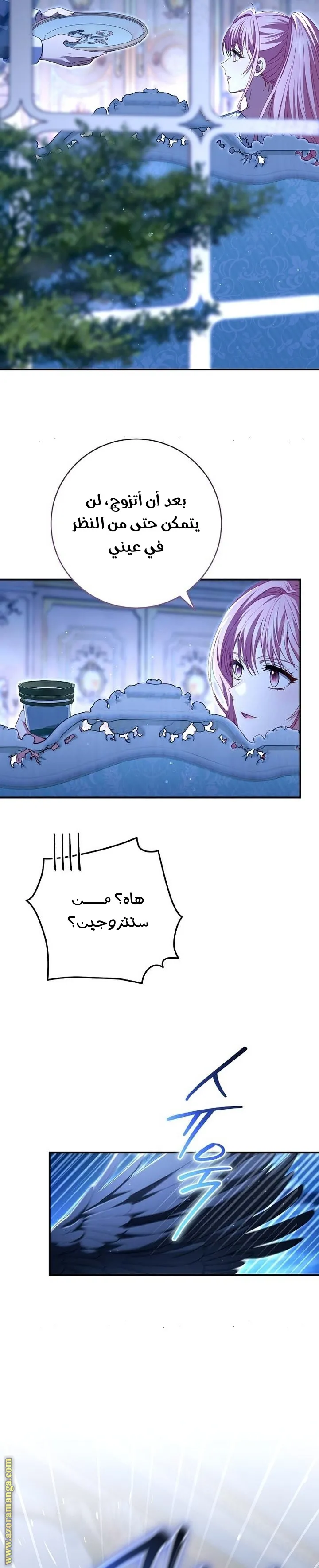 الصفحة 25