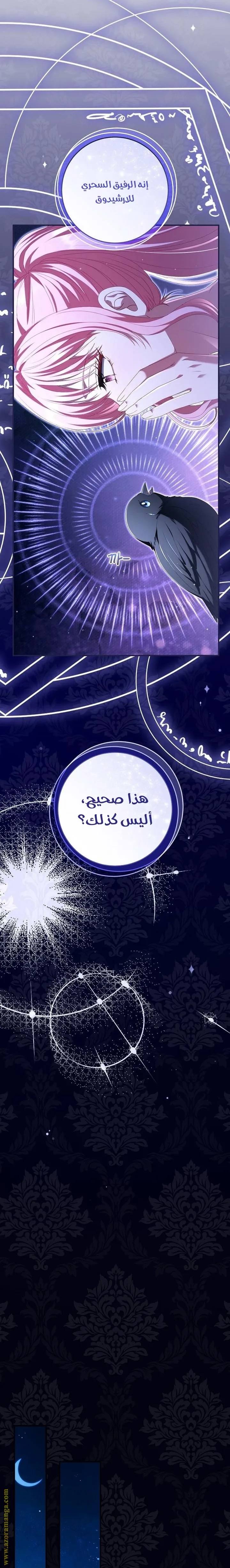 الصفحة 29
