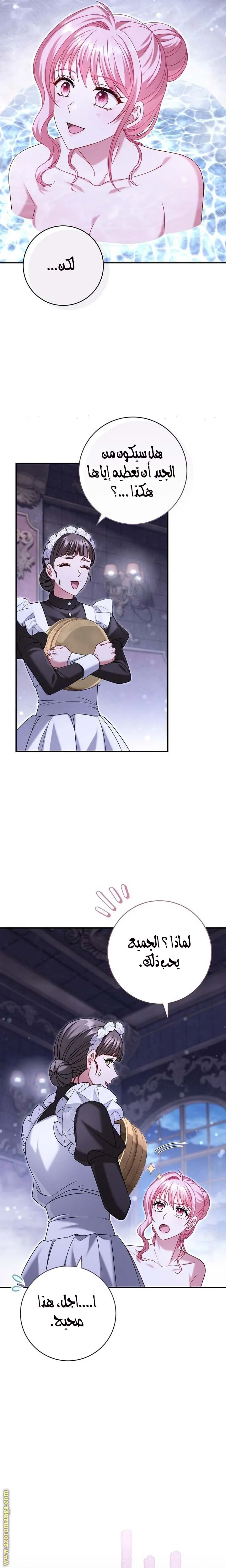 الصفحة 25