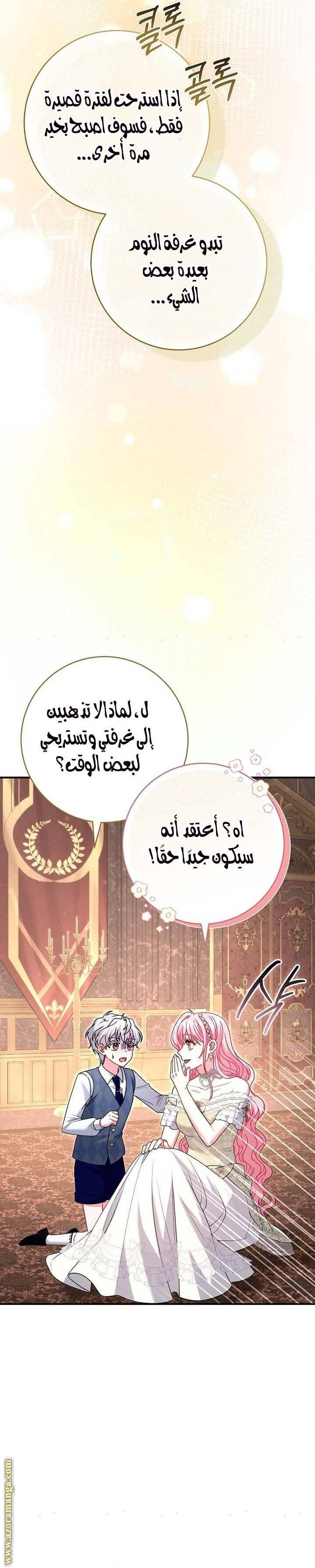 الصفحة 17