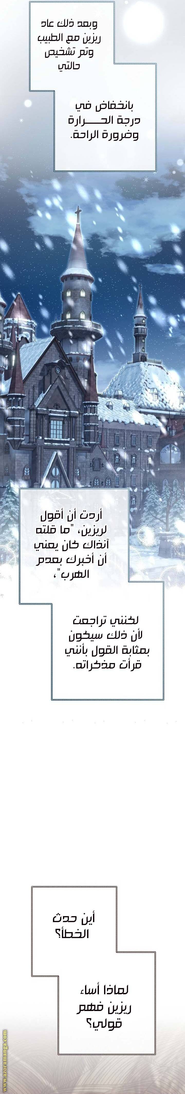 الصفحة 29