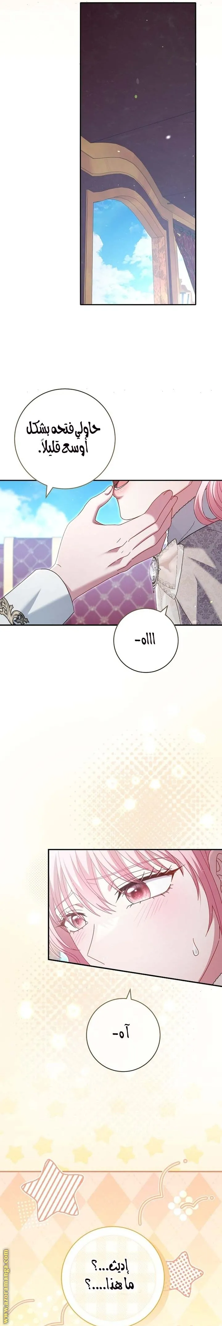 الصفحة 25