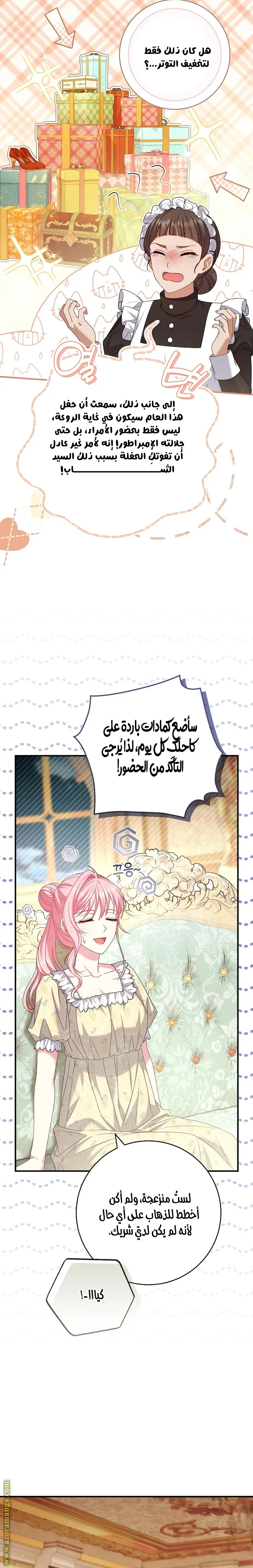 الصفحة 17