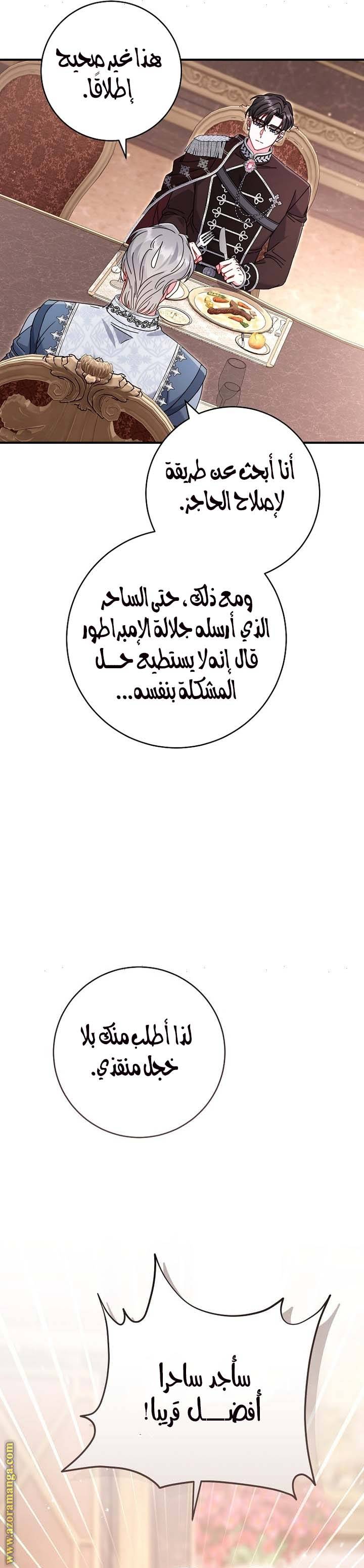 الصفحة 31