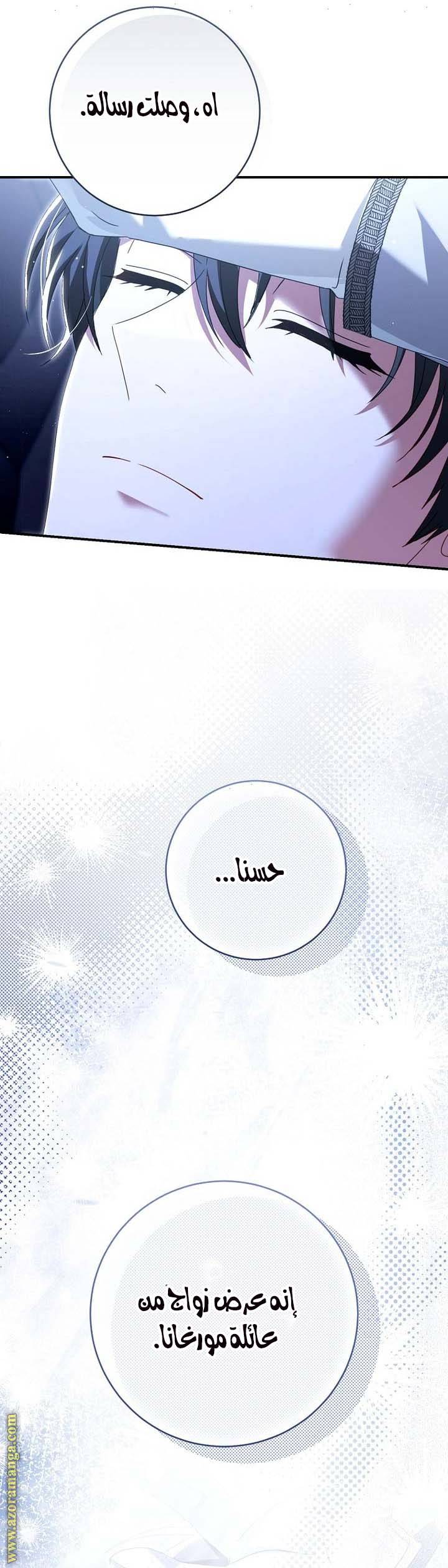الصفحة 52