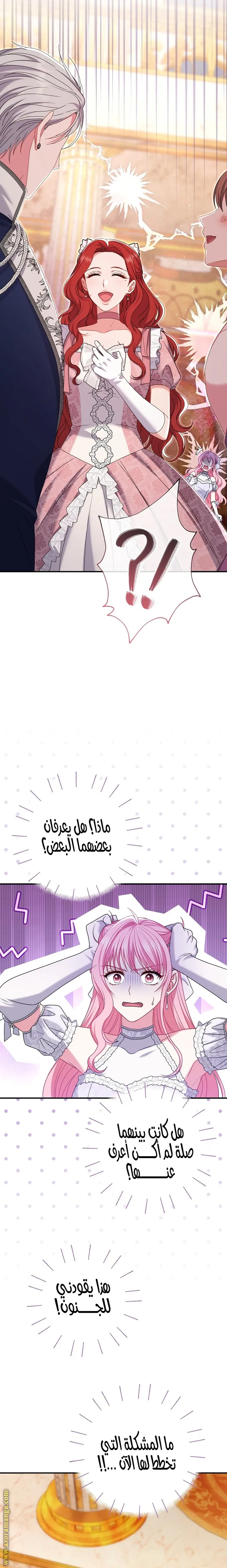 الصفحة 20