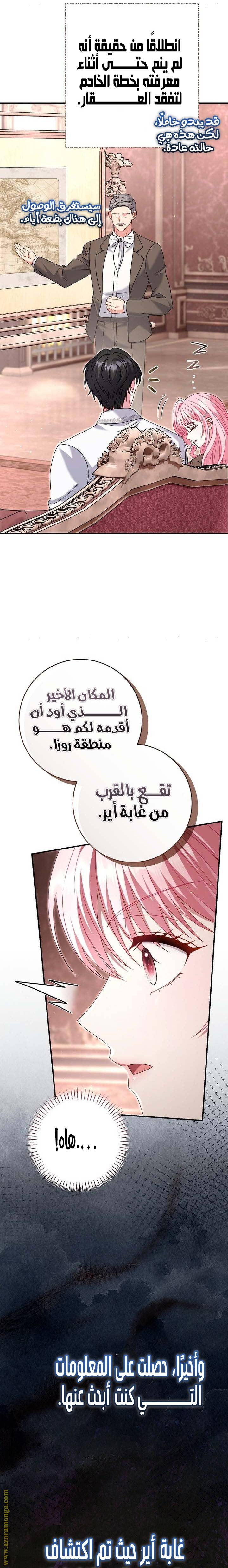 الصفحة 13