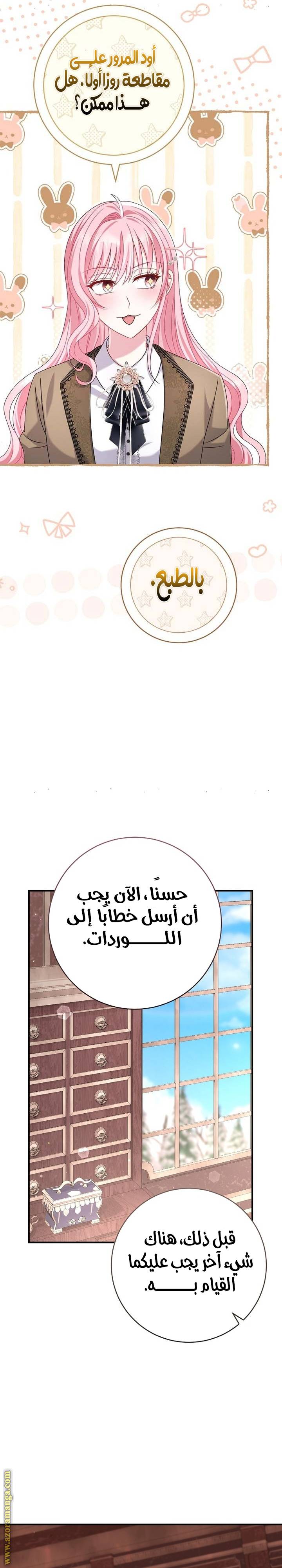الصفحة 17
