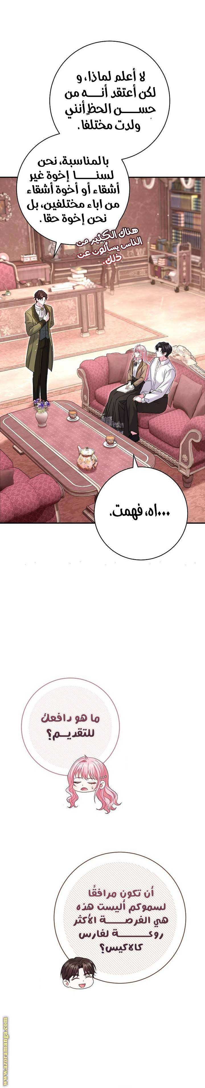 الصفحة 25