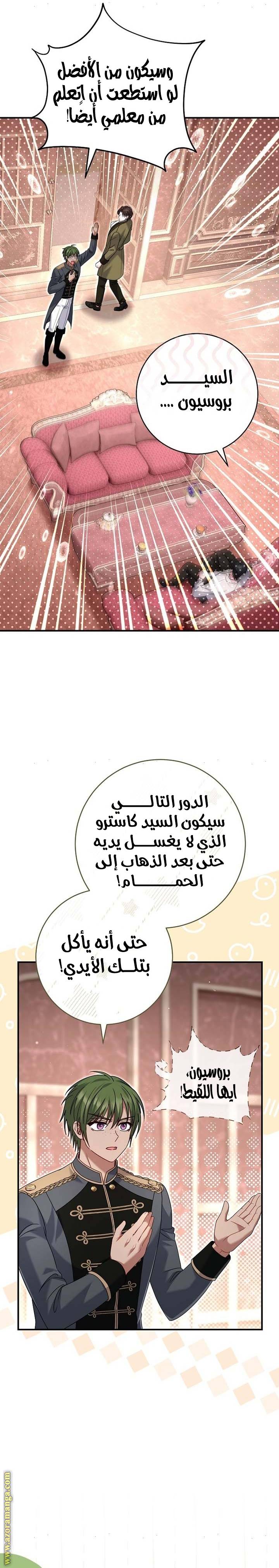 الصفحة 29