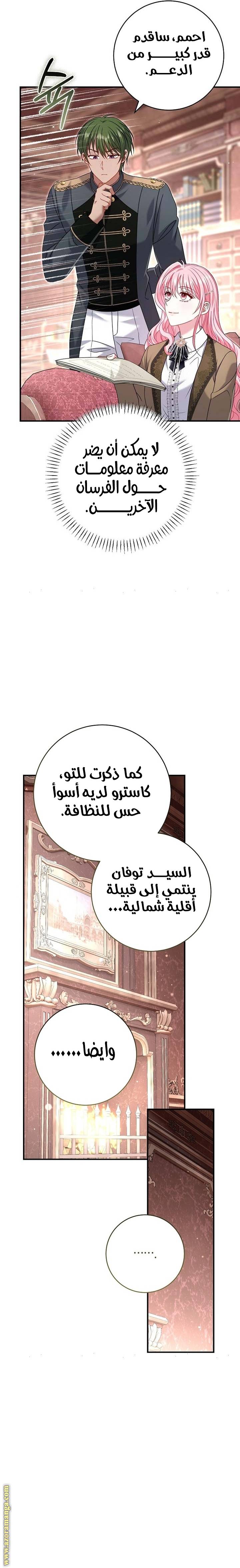 الصفحة 31