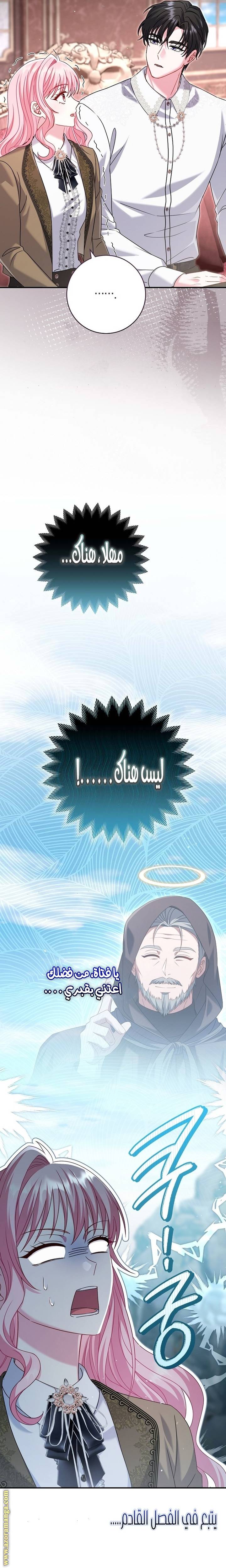 الصفحة 41