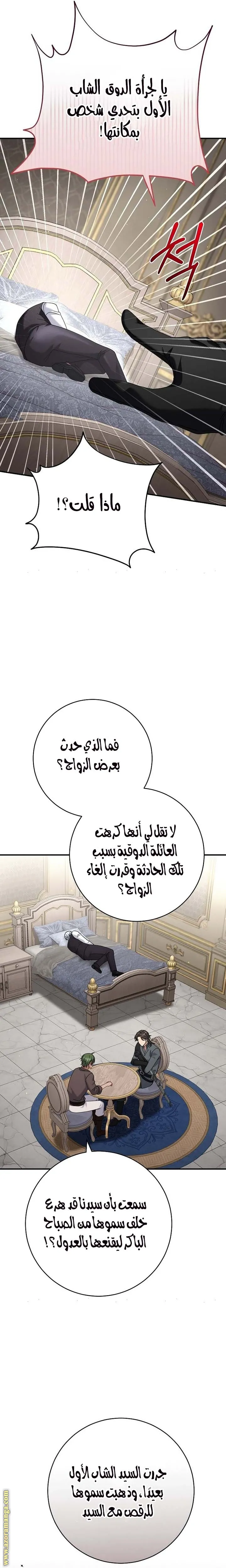 الصفحة 17